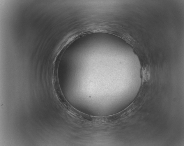 X0000067500291200604211732