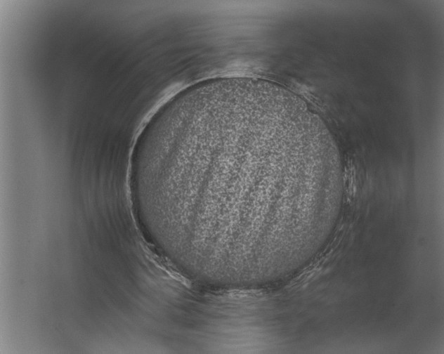 X0000067500292200604211732