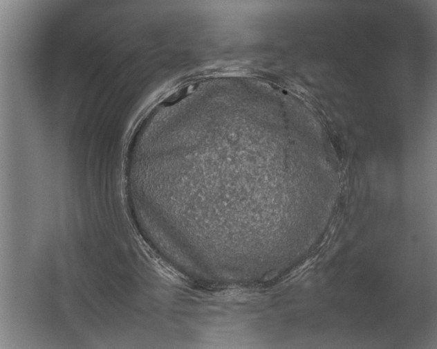 X0000067500293200604211732