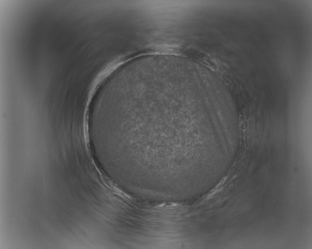 X0000067500294200604211732