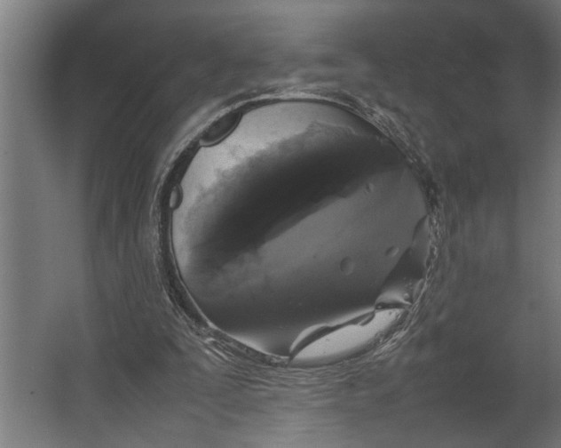 X0000067500295200604211732