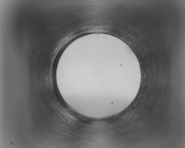 X0000067500296200604211732