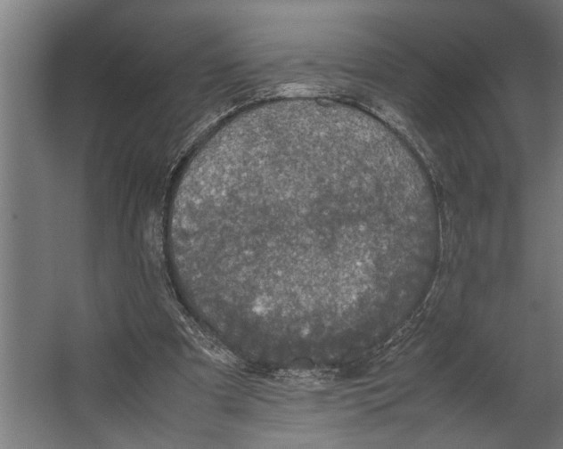 X0000067500297200604211732