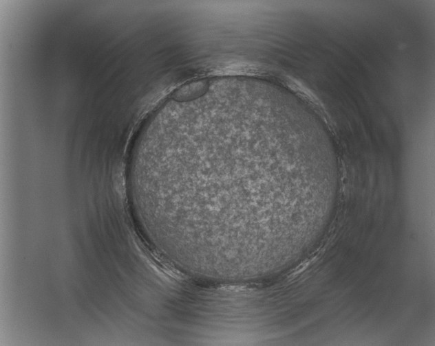 X0000067500298200604211732