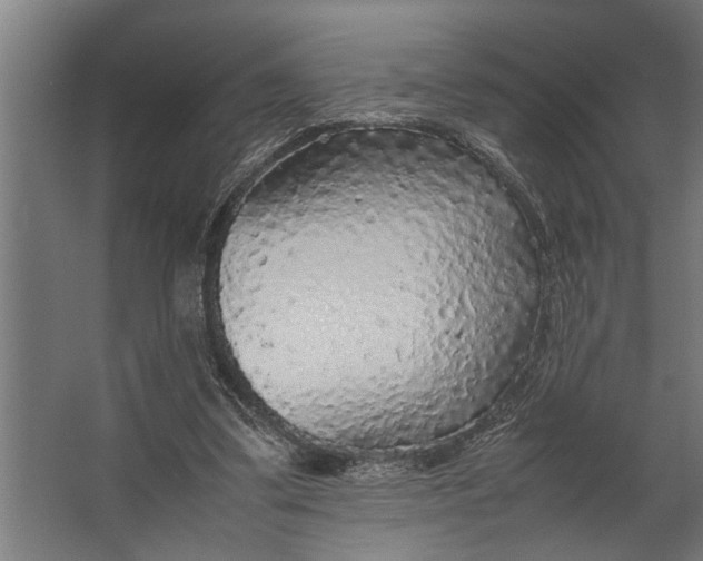 X0000067500299200604211732