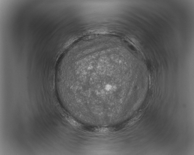 X0000067500301200604211732