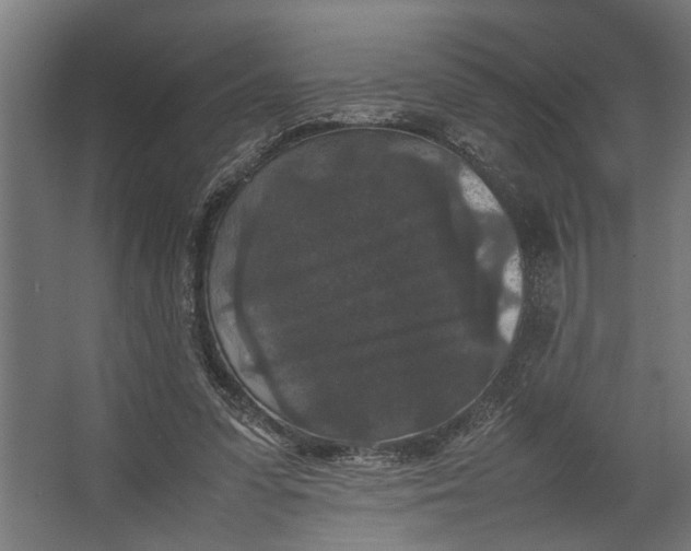 X0000067500303200604211732