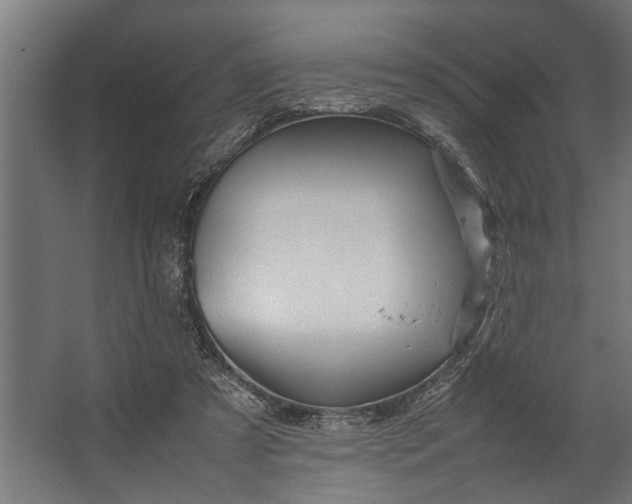 X0000067500305200604211732