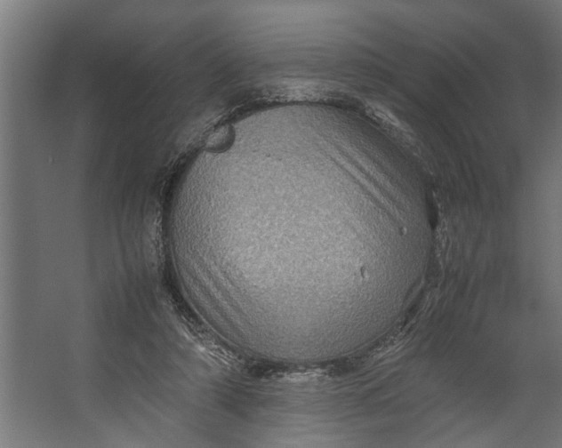 X0000067500306200604211732