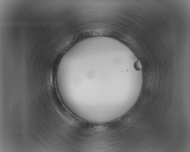 X0000067500310200604211732