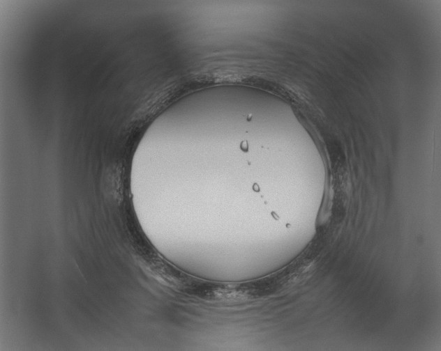 X0000067500311200604211732