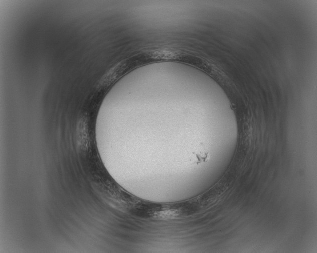 X0000067500312200604211732