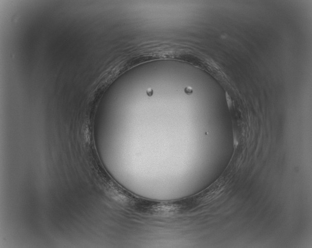 X0000067500313200604211732