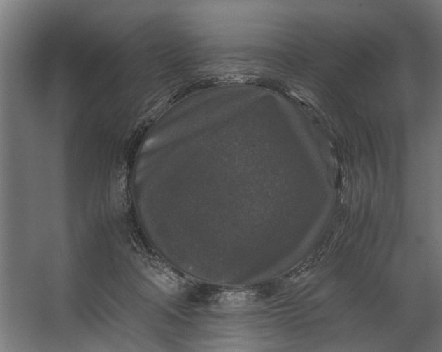 X0000067500314200604211732