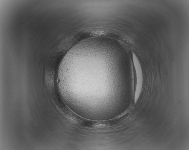 X0000067500315200604211732