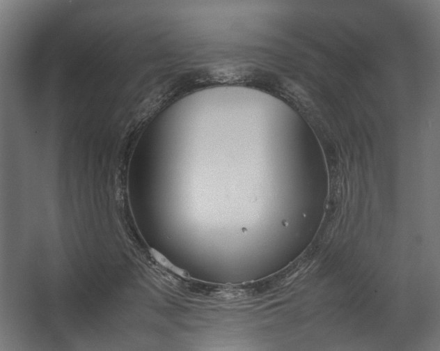 X0000067500317200604211732