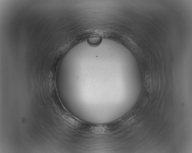 X0000067500318200604211732