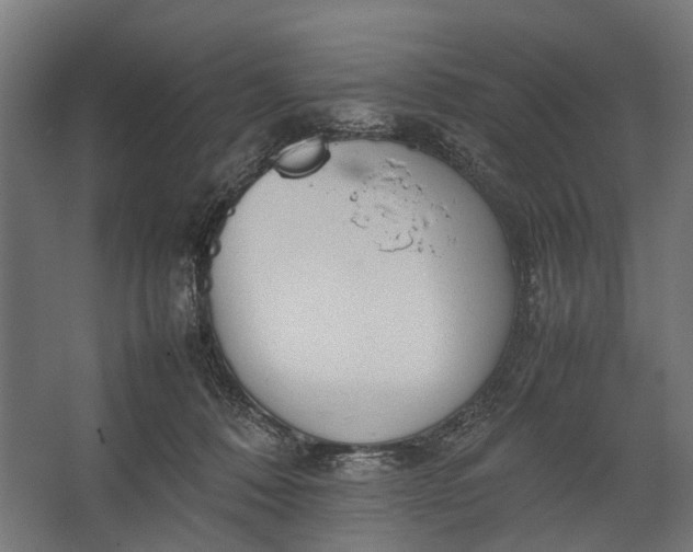 X0000067500320200604211732