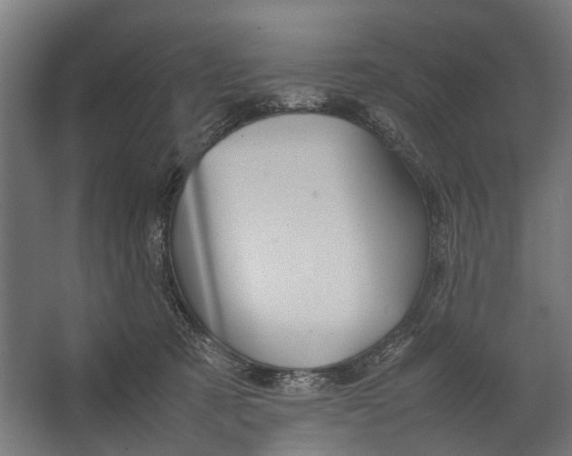 X0000067500321200604211731