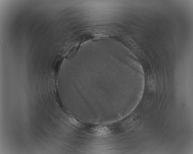 X0000067500322200604211731