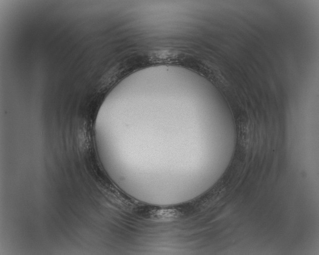 X0000067500324200604211731