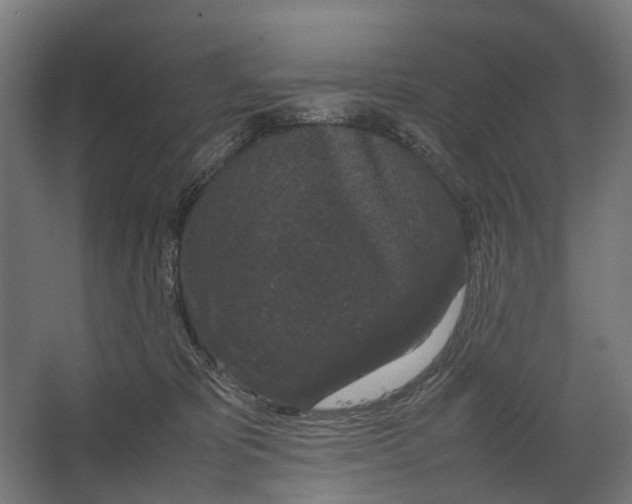 X0000067500325200604211731