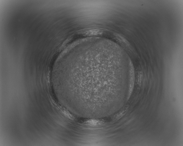 X0000067500326200604211731