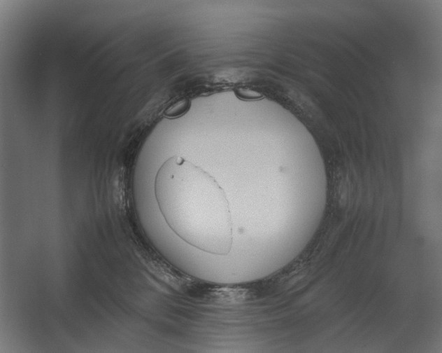 X0000067500328200604211731