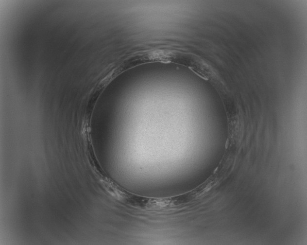 X0000067500329200604211731