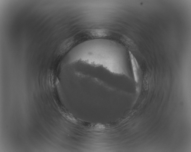 X0000067500330200604211731