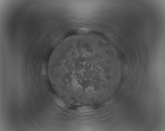 X0000067500331200604211731