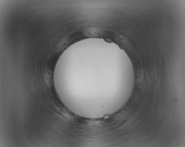 X0000067500332200604211731