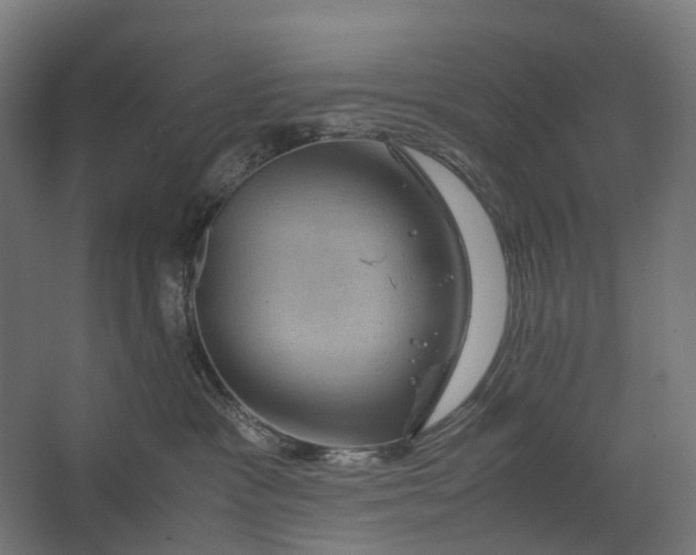 X0000067500333200604211731