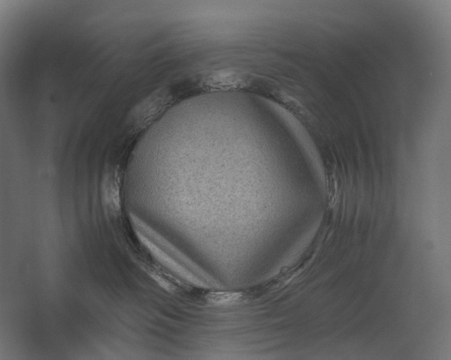 X0000067500334200604211731