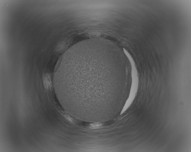 X0000067500335200604211731