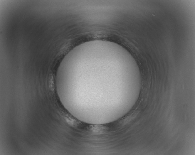 X0000067500336200604211731