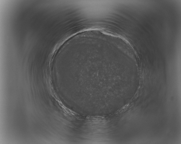 X0000067500337200604211730