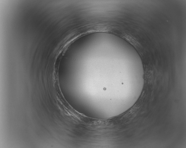 X0000067500338200604211730