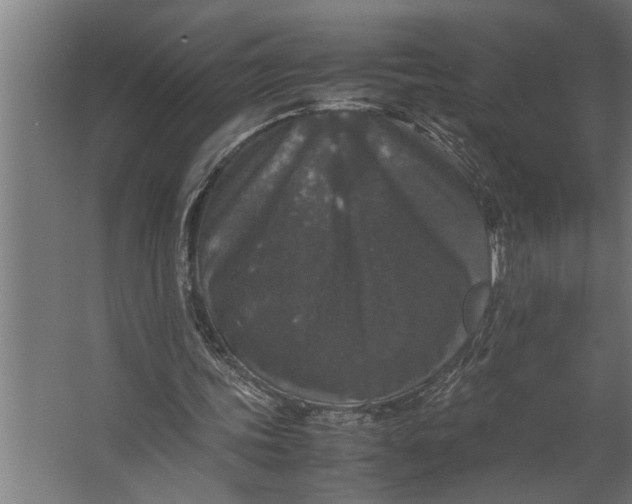 X0000067500339200604211730