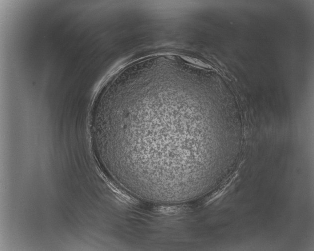 X0000067500341200604211731