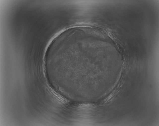 X0000067500342200604211731