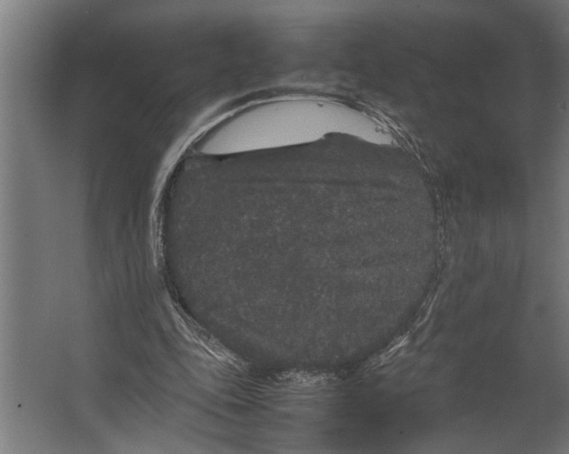 X0000067500343200604211731