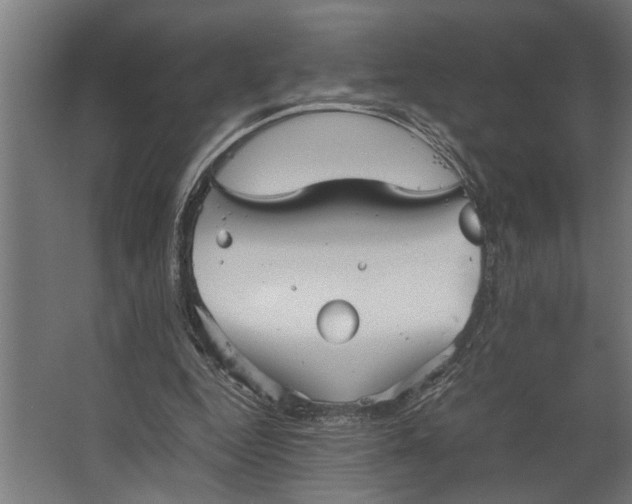 X0000067500344200604211731