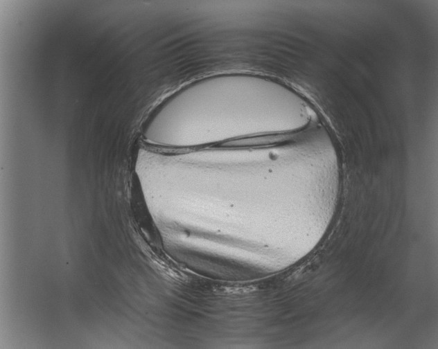 X0000067500345200604211731