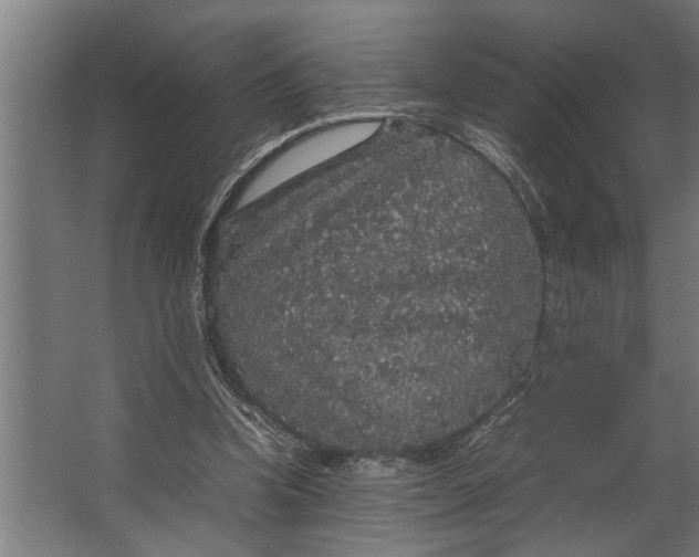 X0000067500346200604211731