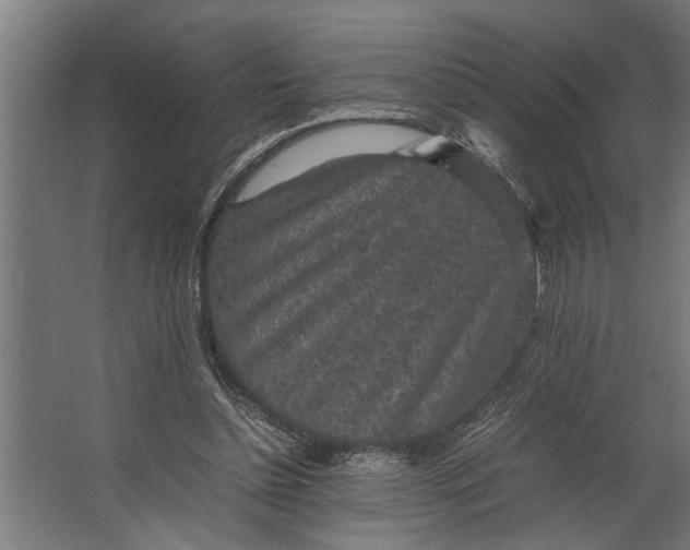 X0000067500348200604211731