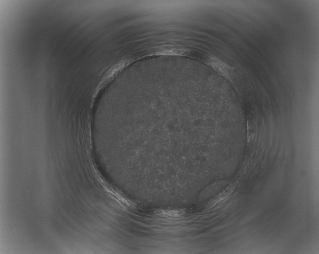 X0000067500349200604211731