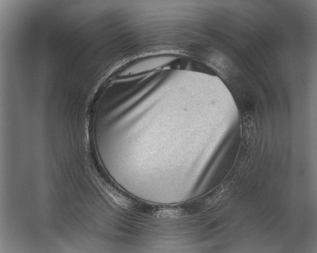 X0000067500350200604211731