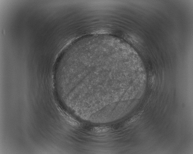 X0000067500351200604211731