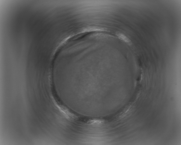 X0000067500352200604211731